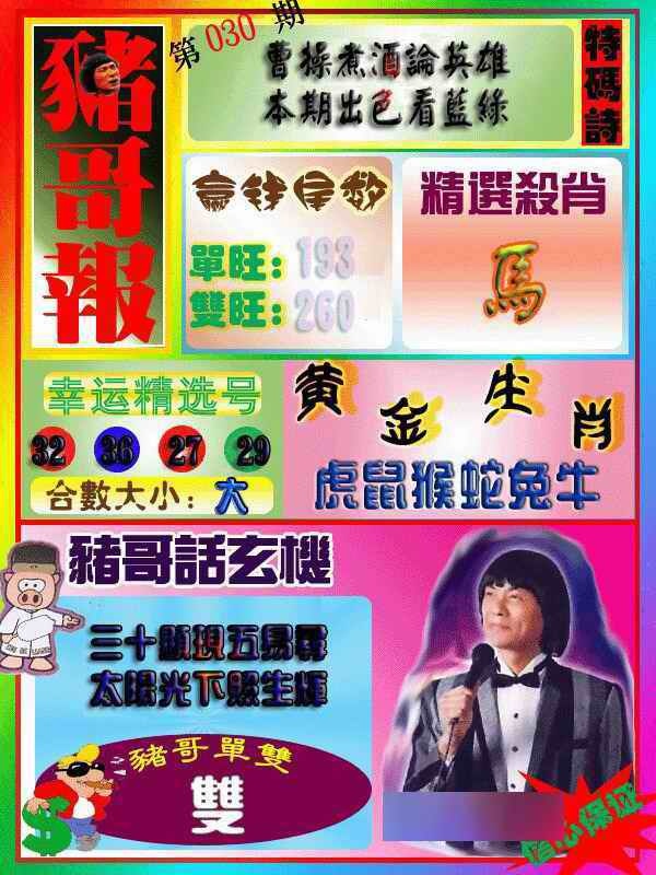 030期猪哥报[图]